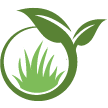 Pasadena Lawn Clean Up