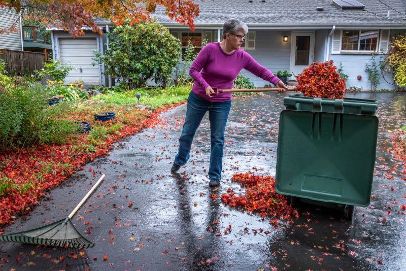 Fall Leaf Disposal