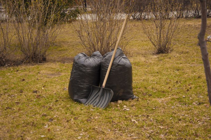 Spring Cleanup Image